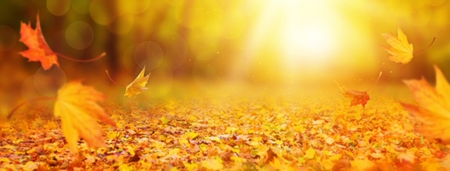 Abstract autumn background