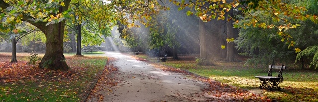 Path in the autumn park. Autumn Landscape. Park in Autumn. Panorama.